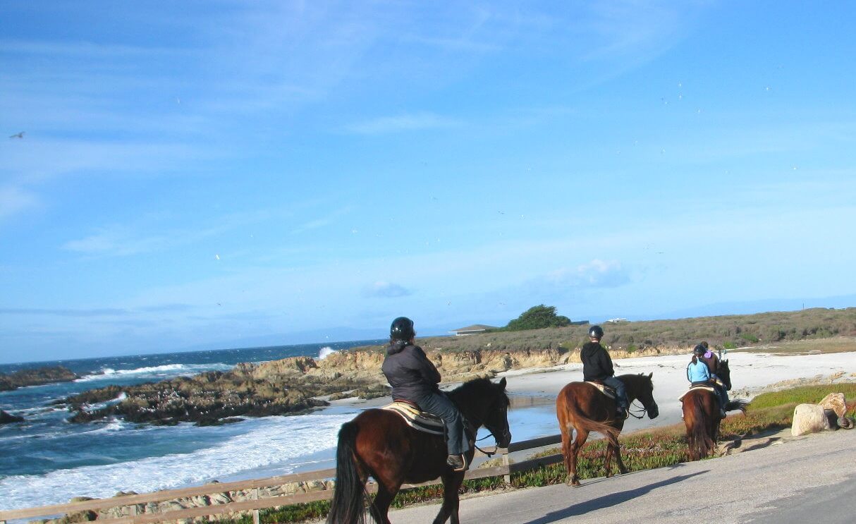 horseback-ride-on-the beach-Monterey-paseo-a-caballo-en la-playa.jpeg